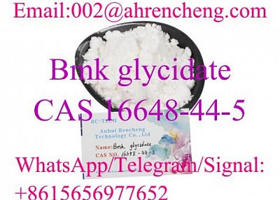 CAS 16648-44-5 Bmk glycidate with Top Quality