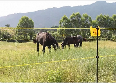 ELECTRIC WIRE FENCE