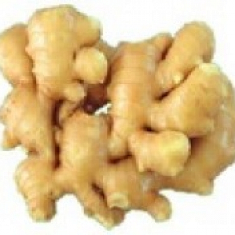 Hillone Integrated Services