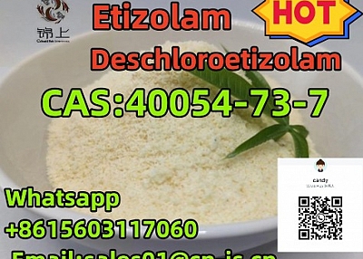 hot selling 40054-73-7 Deschloroetizolam