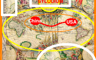 USA – Chinese business (Sylodium, global trade directory)