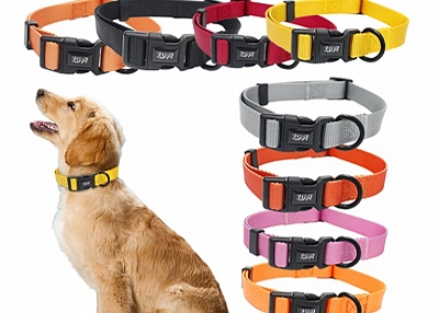 What are the benefits of dog toys for dogs?