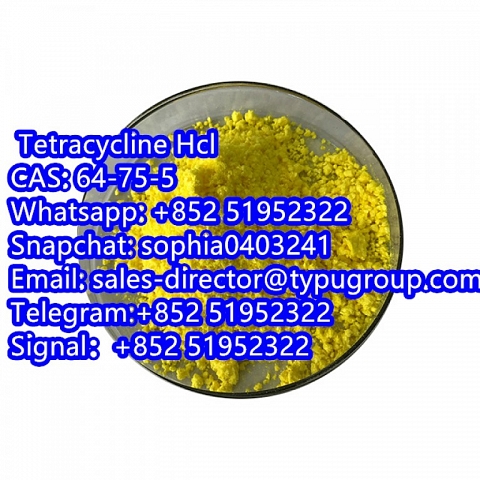  Tetracycline Hcl CAS64-75-5