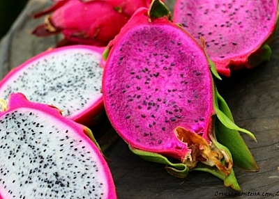 Dragon Fruit