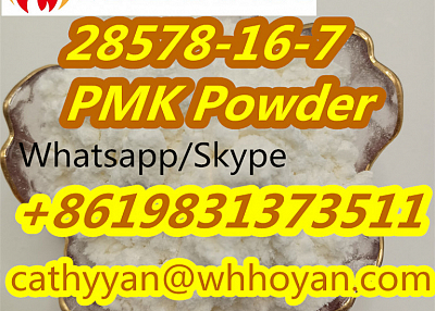 Low Price 28578-16-7 PMK Ethyl Glycidate PMK Seller CAS 28578-16-7 PMK Powder with Good Feedback