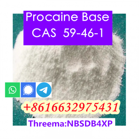 Procaine Free Base CAS 59-46-1