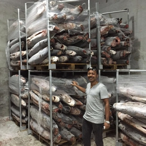 Global Buyer & Suppliers of Frozen meat & Seafood.