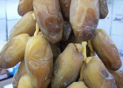 WE EXPORT DATES 