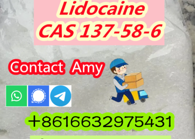 Lidocaine Supplier CAS 137-58-6