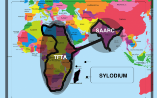 India – African business (Sylodium, import export directory)