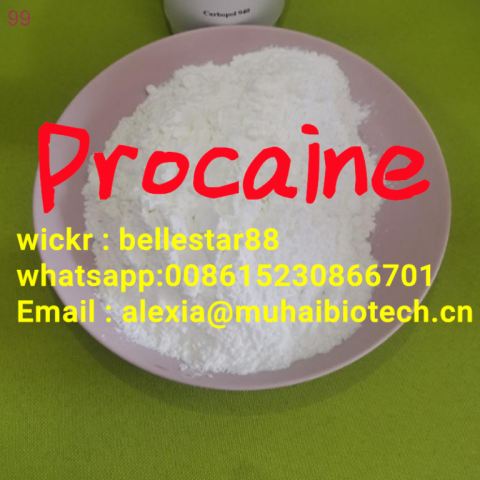 Procaine /Procaine Hydrochloride Wickrme:bellestar88