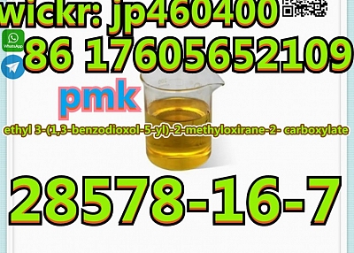 CAS 28578-16-7 NEW PMK oil ethyl 3-(1,3-benzodioxol-5-yl)-2-methyloxirane-2-  carboxylate chemical r
