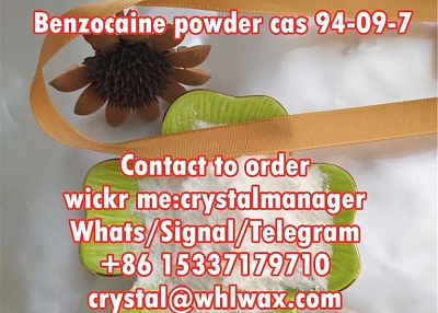 benzocaine powder cas 94-09-7 bulk price in stock