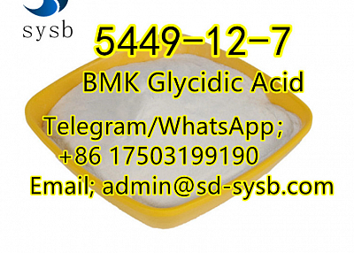  66 A  5449-12-7 BMK Glycidic Acid
