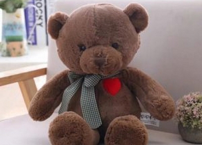 teddy bear gift