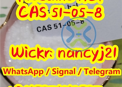 Procaine hydrochloride cas51-05-8 novocain cas59-46-1 wickr me nancyj21