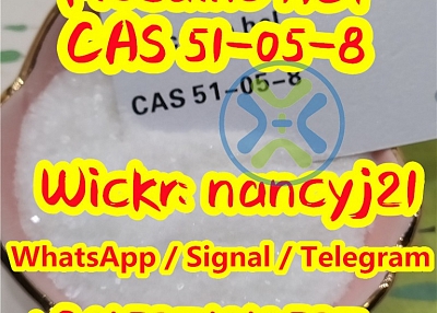 Procaine hydrochloride cas51-05-8 novocain cas59-46-1 wickr me nancyj21