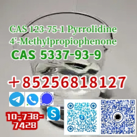 CAS 123-75-1 吡咯烷 4mpf CAS 5337-93-9 4-甲基苯丙酮