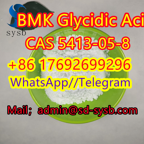 5413-05-8  BMK Glycidic Acid    