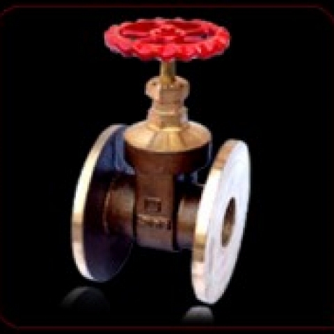 THE PERFORMING VALVES 