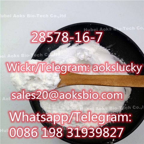 Pmk Powder Glycidate BMK Oil CAS 28578-16-7/13605/166 Pmk with Safe Delivery 