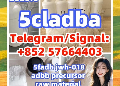 Buy 5CLADBA,5cladba,adbb,5f-adb,4fmdmb,6cladba,5-cl-adb-a,5cl