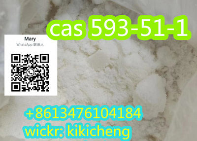 Safe shipping Methylamine hydrochloride 593-51-1 +86-13476104184  