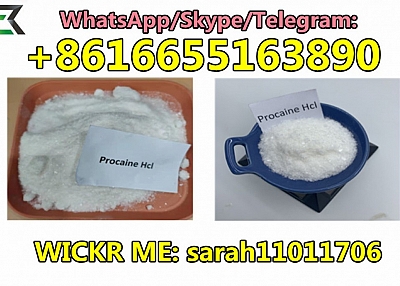 CAS 51-05-8 Procaine hydrochloride