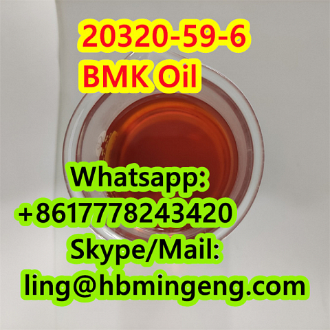 CAS 20320-59-6 CAS 5449-12-7 CAS 5413-05-8 BMK Oil BMK Powder Hot Selling