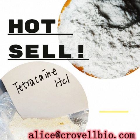 China factory sell tetracaine hcl powder with good price