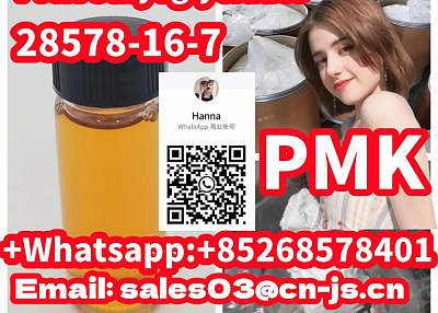 top supplier PMK ethyl glycidate 28578-16-7 