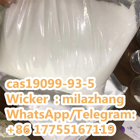 Factory Delivery 1-Cbz-Piperidin-4-One Powder CAS 19099-93-5 in Stock