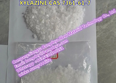XYLAZINE CAS 7361-61-7 XYLAZINE hcl crystal powder 