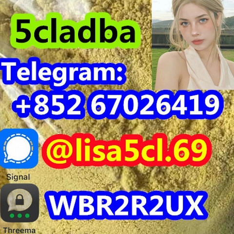 5cladba best cannabinoid 5cladb adbb precursor raw 5cl-adb-a 5fadb in stock 