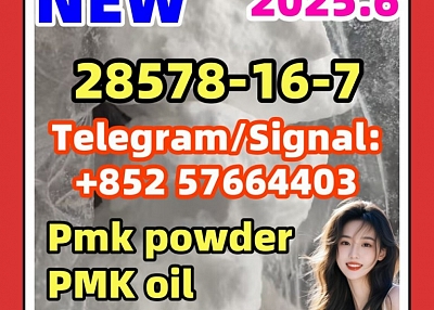 PMK New 28578-16-7 ethyl glycidate Pmk powder 2503-44-8 52190-28-0 