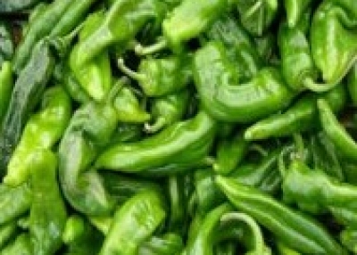 Long Green Cayene Hot Peppers available