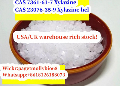 new Batch Chemical raw materials cas 7361-61-7 Xylazine 100% Safe delivery to USA/Mexico!