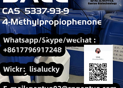 Top quality CAS 5337-93-9 CAS 191790-79-1 4-Methylpropiophenone from China supplier 2114-39-8
