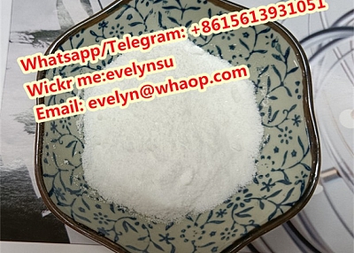 Cas 23111-00-4 Nicotinamide riboside chloride Whatspp:+8615613931051
