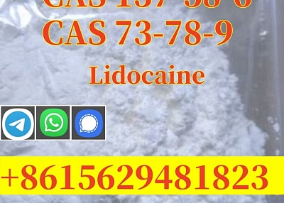 High purity Lidocaine CAS 137-58-6