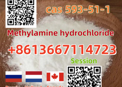 Cas 593-51-1 Methylamine hydrochloride Threema: SFTJNCW5 whatsapp +8613667114723