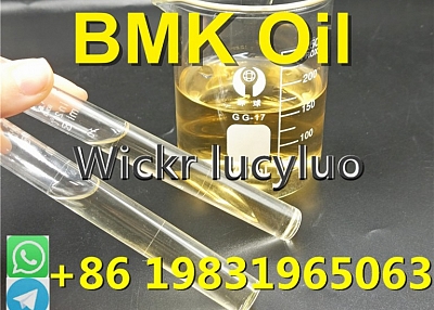 Low Price Light Diethyl (phenylacetyl) Malonate CAS 20320-59-6 Pmk Liquid with Door to Door Delivery