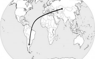 Kazakhstan - Argentina (Sylodium, export to Argentina from Kazakhstan)