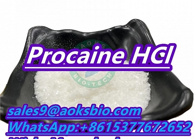Buy procaine hcl powder cas 51-05-8 procaine hcl 51-05-8 procaine hydrochloride