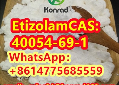  Etizolam CAS:40054-69-1