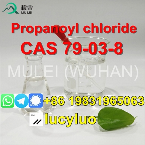 Superior Quality Safe Shipping CAS 456-03-1 P-Fluoropropiophenone
