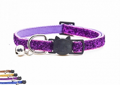  Purchase of dog accessories