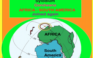 South America – Africa business (Sylodium, global trade platform)