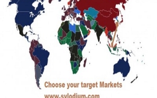 新加坡- 韩国 (Sylodium, 进出口业务)